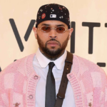 Police Arrest Man Outside Chris Brown's Tarzana Home After Alleged Fire Attempt